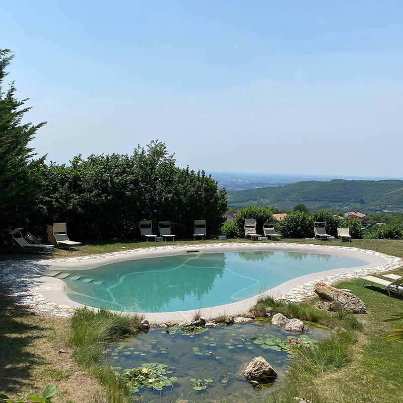 Services Custom Pools
