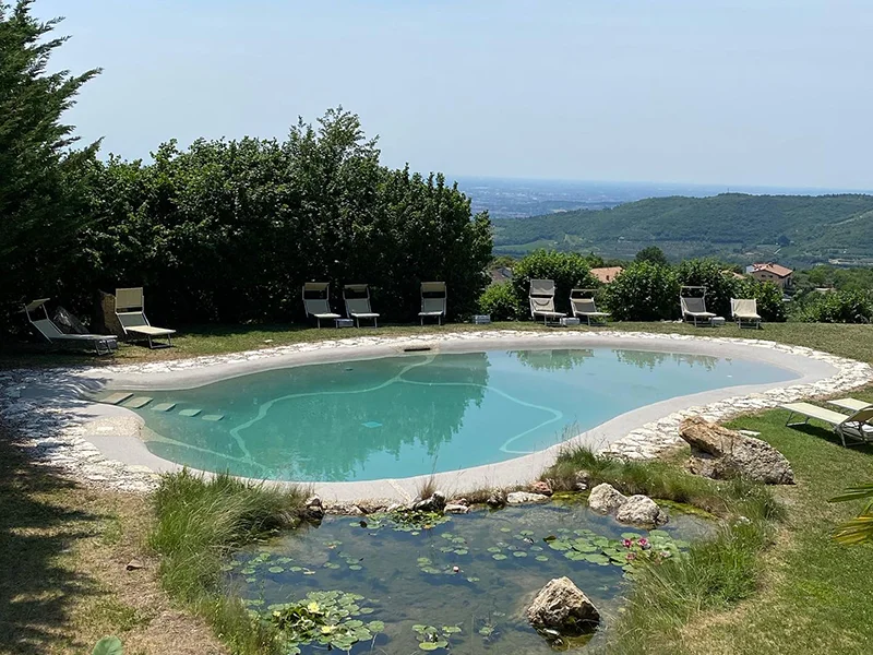 Services Custom Pools